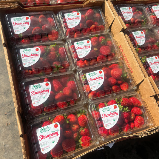 Organic Strawberry Box (8.0 lbs)
